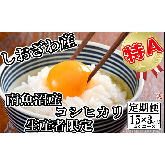 米 定期便 コシヒカリ 南魚沼しおざわ産 45kg ( 15kg × 3ヶ月 ) 契約栽培 | お米 こめ 白米 コシヒカリ 食品 人気 おすすめ 送料無料 魚沼 南魚沼 南魚沼市 新潟県産 新潟県 精米 産直 産地直送 お取り寄せ お楽しみ