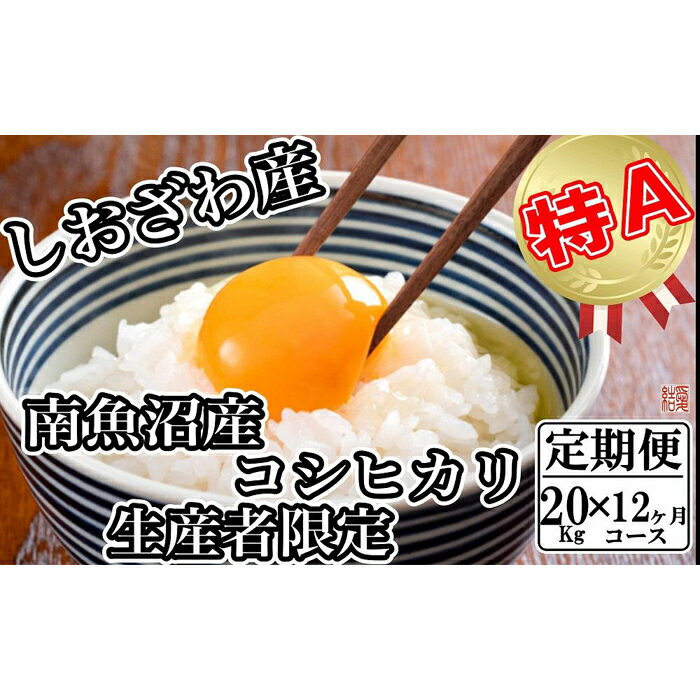 【ふるさと納税】米 定期便 コシヒカリ 南魚沼しおざわ産 240kg ( 20kg × 12ヶ月 ) 契約栽培 | お米 こめ 白米 コシヒカリ 食品 人気 おすすめ 送料無料 魚沼 南魚沼 南魚沼市 新潟県産 新潟県 精米 産直 産地直送 お取り寄せ お楽しみ