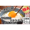 【ふるさと納税】【令和7年産】米 定期便 コシヒカリ 南魚沼しおざわ産 6kg ( 2kg × 3ヶ月 ) 契約栽培【2025年10月上旬より順次発送予定】 | お米 こめ 白米 コシヒカリ 食品 人気 おすすめ 送料無料 魚沼 南魚沼 南魚沼市 新潟県産 新潟県 精米