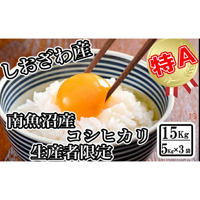 【ふるさと納税】米 コシヒカリ 南魚沼しおざわ産 15kg ( 5kg × 3袋 ) 契約栽培 | お米 こめ 白米 食品 人気 おすすめ 送料無料 魚沼 南魚沼 南魚沼市 新潟県 精米 産直 産地直送 お取り寄せ