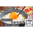 【ふるさと納税】【令和7年産】米 定期便 コシヒカリ 南魚沼しおざわ産 48kg ( 4kg × 12ヶ月 ) 契約栽培【2025年10月上旬より順次発送予定】 | お米 こめ 白米 コシヒカリ 食品 人気 おすすめ 送料無料 魚沼 南魚沼 南魚沼市 新潟県産 新潟県 精米