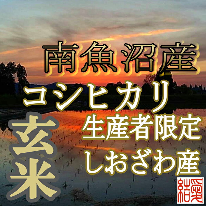 【ふるさと納税】米 定期便 玄米 コシヒカリ 南魚沼しおざわ産 6kg ( 2kg × 3ヶ月 ) | お米 こめ 食品 人気 おすすめ 送料無料 魚沼 南魚沼 南魚沼市 新潟県 精米 産直 産地直送 お取り寄せ お楽しみ