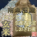 【ふるさと納税】米 定期便 玄米 コシヒカリ 南魚沼しおざわ