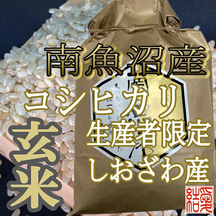 【ふるさと納税】【定期便】玄米 南魚沼しおざわ産コシヒカリ10Kg×3ヶ月