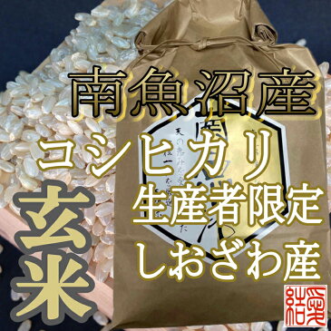 【ふるさと納税】【定期便】玄米 南魚沼しおざわ産コシヒカリ10Kg×6ヶ月