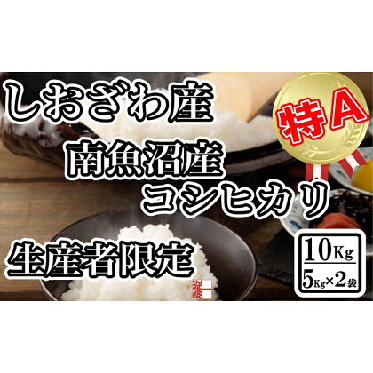 米 コシヒカリ 南魚沼しおざわ産 10kg ( 5kg × 2袋 ) 契約栽培 | お米 こめ 白米 コシヒカリ 食品 人気 おすすめ 送料無料 魚沼 南魚沼 南魚沼市 新潟県産 新潟県 精米 産直 産地直送 お取り寄せ