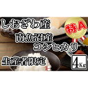 【ふるさと納税】【令和7年産】米 コシヒカリ 南魚沼しおざわ産 4kg ( 2kg × 2袋 ) 契約栽培【2025年10月上旬より順次発送予定】 | お米 こめ 白米 コシヒカリ 食品 人気 おすすめ 送料無料 魚沼 南魚沼 南魚沼市 新潟県産 新潟県 精米 産直 産地直送 お取り寄せ