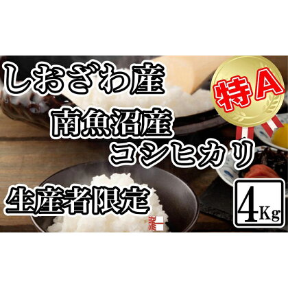 米 コシヒカリ 南魚沼しおざわ産 4kg ( 2kg × 2袋 ) 契約栽培 | お米 こめ 白米 コシヒカリ 食品 人気 おすすめ 送料無料 魚沼 南魚沼 南魚沼市 新潟県産 新潟県 精米 産直 産地直送 お取り寄せ