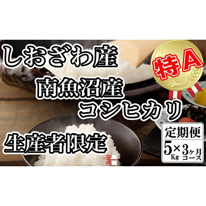 【ふるさと納税】米 定期便 コシヒカリ 南魚沼しおざわ産 15kg ( 5kg × 3ヶ月 ) 契約栽培 | お米 こめ 白米 食品 人気 おすすめ 送料無料 魚沼 南魚沼 南魚沼市 新潟県 精米 産直 産地直送 お取り寄せ お楽しみ