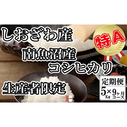 米 定期便 コシヒカリ 南魚沼しおざわ産 45kg ( 5kg × 9ヶ月 ) 契約栽培 | お米 こめ 白米 コシヒカリ 食品 人気 おすすめ 送料無料 魚沼 南魚沼 南魚沼市 新潟県産 新潟県 精米 産直 産地直送 お取り寄せ お楽しみ