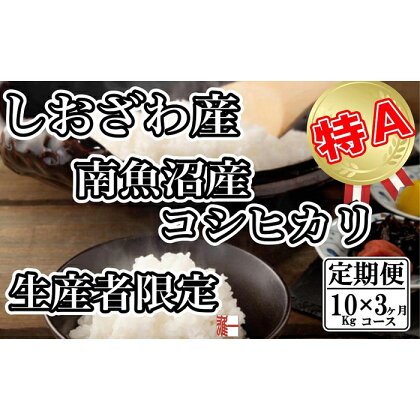 米 定期便 コシヒカリ 南魚沼しおざわ産 30kg ( 10kg × 3ヶ月 ) 契約栽培 | お米 こめ 白米 コシヒカリ 食品 人気 おすすめ 送料無料 魚沼 南魚沼 南魚沼市 新潟県産 新潟県 精米 産直 産地直送 お取り寄せ お楽しみ