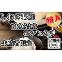【ふるさと納税】【令和7年産】米 定期便 コシヒカリ 南魚沼しおざわ産 60kg ( 10kg × 6ヶ月 ) 契約栽培【2025年10月上旬より順次発送予定】 | お米 こめ 白米 コシヒカリ 食品 人気 おすすめ 送料無料 魚沼 南魚沼 南魚沼市 新潟県産 新潟県 精米