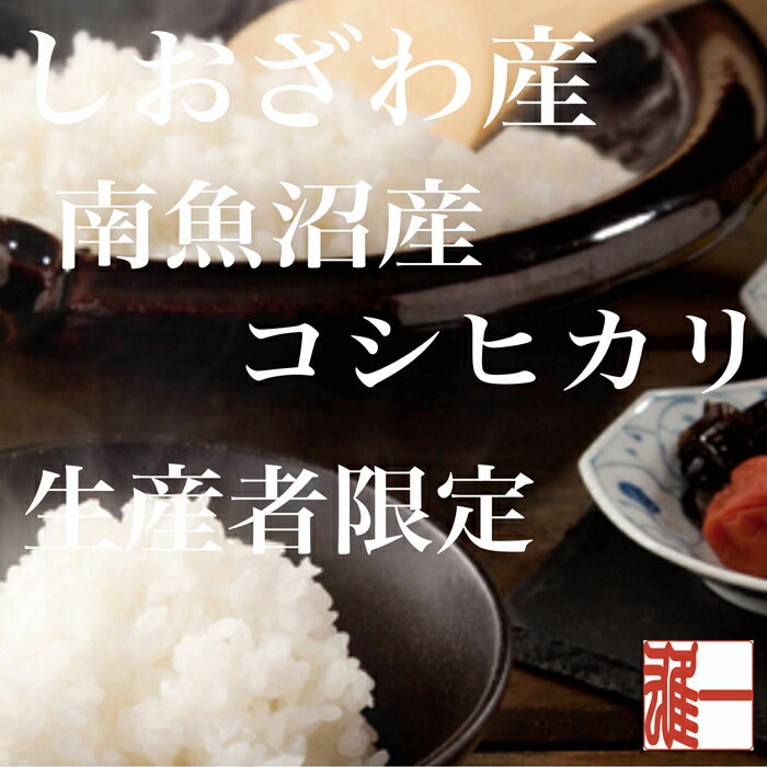 【ふるさと納税】【令和7年産】米 定期便 コシヒカリ 南魚沼しおざわ産 90kg ( 10kg × 9ヶ月 ) 契約栽培【2025年10月上旬より順次発送予定】 | お米 こめ 白米 コシヒカリ 食品 人気 おすすめ 送料無料 魚沼 南魚沼 南魚沼市 新潟県産 新潟県 精米