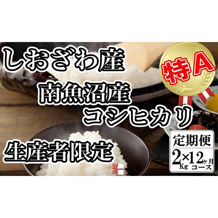 【ふるさと納税】米 定期便 コシヒカリ 南魚沼しおざわ産 2