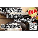 【ふるさと納税】米 定期便 コシヒカリ 南魚沼しおざわ産 24kg 2kg 12ヶ月 契約栽培 | お米 こめ 白米 コシヒカリ 食品 人気 おすすめ 送料無料 魚沼 南魚沼 南魚沼市 新潟県産 新潟県 精米 産…