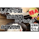 【ふるさと納税】【令和7年産】米 定期便 コシヒカリ 南魚沼しおざわ産 36kg ( 4kg × 9ヶ月 ) 契約栽培【2025年10月上旬より順次発送予定】 | お米 こめ 白米 コシヒカリ 食品 人気 おすすめ 送料無料 魚沼 南魚沼 南魚沼市 新潟県産 新潟県 精米