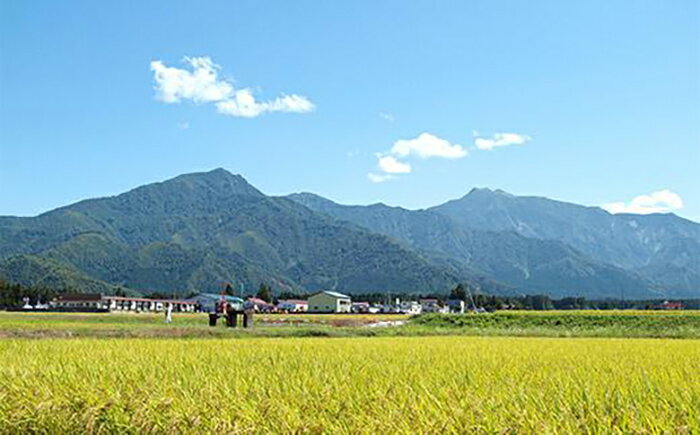 【ふるさと納税】食べ比べセット！南魚沼産塩沢コシヒカリ（特別栽培米8割減農薬）精米5kgと【ぴかまる】（特別栽培米8割減農薬）精米5kg