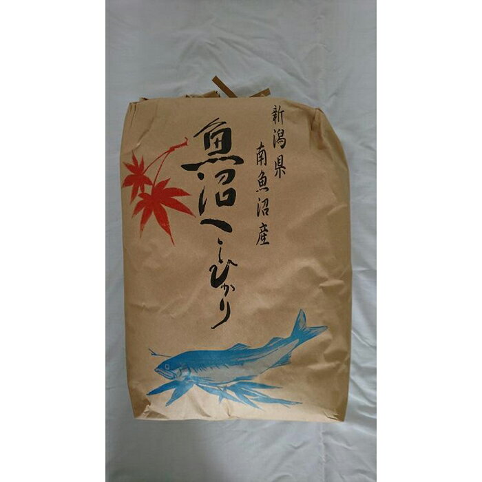 魚沼産しおざわコシヒカリ玄米30kg | お米 こめ 食品 コシヒカリ 人気 おすすめ 送料無料 魚沼 南魚沼 南魚沼市 新潟県 玄米 産直 産地直送 お取り寄せ