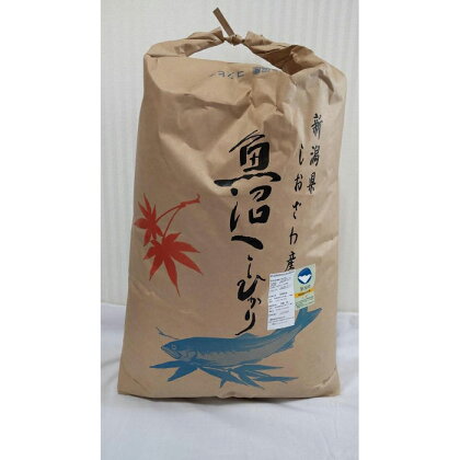 新潟県認証特別栽培米魚沼産しおざわコシヒカリ玄米30kg | お米 こめ 食品 コシヒカリ 人気 おすすめ 送料無料 魚沼 南魚沼 南魚沼市 新潟県 玄米 産直 産地直送 お取り寄せ