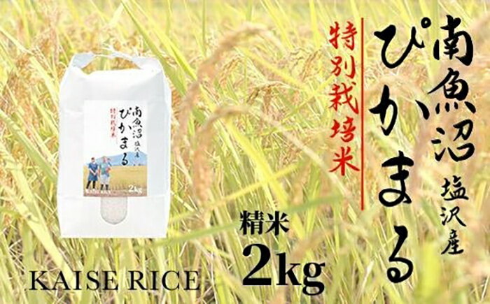 南魚沼産塩沢[ぴかまる](特別栽培米8割減農薬)精米2kg | お米 こめ 白米 食品 人気 おすすめ 送料無料 魚沼 南魚沼 南魚沼市 新潟県産 新潟県 精米 産直 産地直送 お取り寄せ