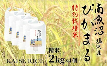 南魚沼産塩沢【ぴかまる】（特別栽培米8割減農薬）精米2kg×4個