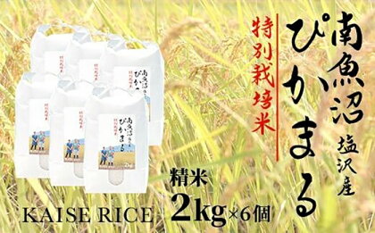 南魚沼産塩沢【ぴかまる】（特別栽培米8割減農薬）精米2kg×6個