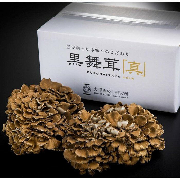 【ふるさと納税】大平きのこ研究所の大黒舞茸「真」1kg