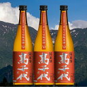 【ふるさと納税】酒 日本酒 セット 3本 × 720ml ( 高千代 純米酒 ) 大辛口 +19 美山錦 | お酒 さけ 人気 おすすめ 送料無料 ギフト