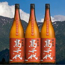 【ふるさと納税】酒 日本酒 セット 3本 × 1800ml ( 高千代 純米酒 ) 大辛口 +19 美山錦 | お酒 さけ 人気 おすすめ 送料無料 ギフト