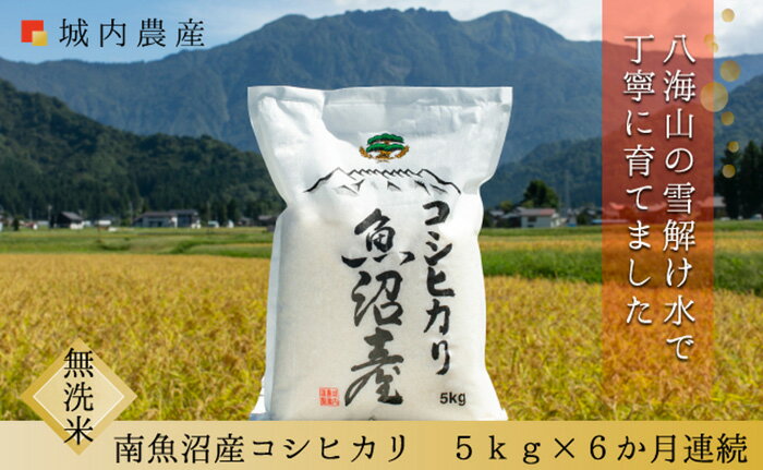 【ふるさと納税】【お米定期便/全6回】南魚沼産コシヒカリ　無洗米5kg＜5割減農薬栽培米＞　城内農産のサムネイル