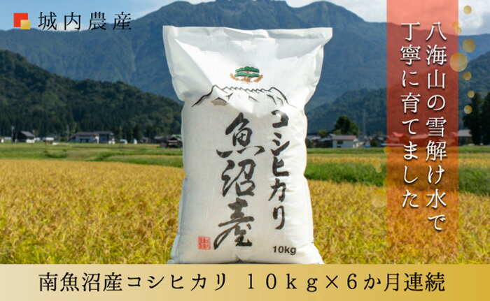 【ふるさと納税】新米　令和5年産 【お米定期便/全6回】南魚沼産コシヒカリ　白米10kg＜5割減農薬栽培米＞　城内農産のサムネイル