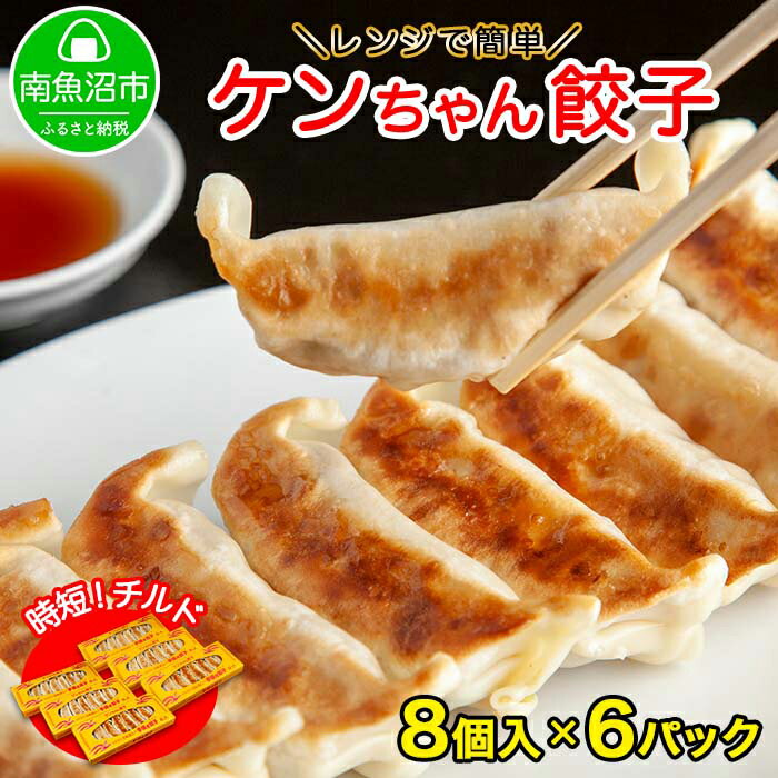 【ふるさと納税】新潟県 南魚沼市 チルド手焼き餃子 8個入り × 6パック 計48個 ケンちゃん餃子 冷蔵 中華 点心 惣菜 ビール お取り寄せ グルメ
