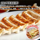 【ふるさと納税】新潟県 南魚沼市 チルド手焼き餃子 8個入り × 6パック 計48個 ケンちゃん餃子 冷蔵 中華 点心 惣菜 ビール お取り寄せ グルメ 2