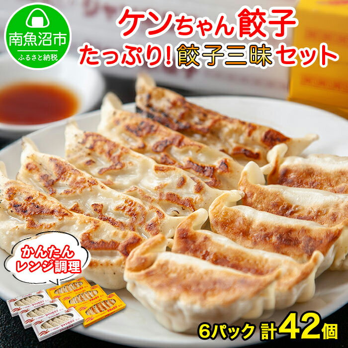 【ふるさと納税】新潟県 南魚沼市 チルド手焼き餃子・じゃんぼ餃子 食べ比べ セット 各3パック 計42個 ケンちゃん餃子 冷蔵 中華 点心 惣菜 ビール お取り...