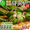 【ふるさと納税】新潟県 南魚沼市 笹団子 10個 × 4袋 計40個 やまと食品 和菓子 お菓子 和スイーツ あんこ 新潟名物 お取り寄せ グルメ お中元 お歳暮 お土産 ギフト