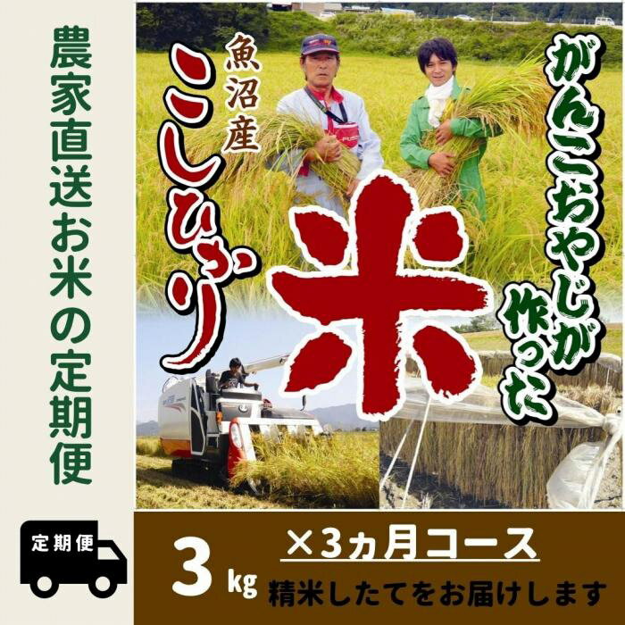 【ふるさと納税】【令和6年産新米予約／令和6年9月下旬より順次発送】【3か月定期便】がんこおやじが作った南魚沼産コシヒカリ白米3kg | お米 こめ 白米 コシヒカリ 食品 人気 おすすめ 送料無料 魚沼 南魚沼 南魚沼市 新潟県産 新潟県 精米 産直 産地直送 お取り寄せのサムネイル