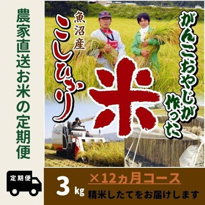 令和5年産【12か月定期便】がんこおやじが作った南魚沼産コシヒカリ白米3kg | お米 こめ 白米 コシヒカリ 食品 人気 おすすめ 送料無料 魚沼 南魚沼 南魚沼市 新潟県産 新潟県 精米 産直 産地直送 お取り寄せ お楽しみ