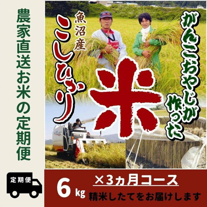 ・ふるさと納税よくある質問はこちら ・寄付申込みのキャンセル、返礼品の変更・返品はできません。あらかじめご了承ください。 ・ご要望を備考に記載頂いてもこちらでは対応いたしかねますので、何卒ご了承くださいませ。 ・寄付回数の制限は設けておりません。寄付をいただく度にお届けいたします。 商品概要 【南魚沼産コシヒカリ】 毎日食べるお米だから　安心　安全　美味しいものがいい！！！生産直売店、おにぎり屋を営む我が家が丹精込めて育てました。新潟県南魚沼市の大自然の中、節減対象農薬5割減、化学肥料5割減で栽培しており、新潟県の特別栽培農産物の認証を得ているお米です。がんこおやじと息子とで種蒔きからおにぎりが出来上がるまで協力しあった作業の結晶です。 【定期便】 毎月1回、白米6kg（3kg×2袋）を3か月連続でお届けします。 1回目は準備でき次第の発送になります。2回目以降は翌月の同時期を目安に発送いたします。 【生産者の声】 個人的な意見ですが、もともと粘りの強いお米なので炊飯時、若干水を少なくして炊いていただいたほうが、粒感がしっかりして美味しく感じると思います。是非お試しください。 ※6kg＝約40合なので端数にならずに使いきれます。 ※美味しく召し上がって頂く期間は精米日より約1カ月です。出荷直前に精米しお届けします。 ※保管について、低温(13℃以下)で湿気の少ないところでの保管をお願いします。冷蔵庫の野菜室などをお勧めしております。 ※新米の切り替え時期は毎年9月下旬予定。 【お問合せ】発送事業者（関米穀店　TEL：080-1084-1299） 関連キーワード：お米 こめ 白米 食品 人気 おすすめ 送料無料 内容量・サイズ等 南魚沼産コシヒカリ6kg(3kg×2袋）×3回発送(定期便) 賞味期限 美味しく召し上がって頂く期間：精米日より1カ月　低温で湿気の少ない(13℃以下)ところでの保管をお願いします。 配送方法 常温 発送期日 令和5年10月より順次1回目を発送、2回目以降は翌月の同時期を目安に発送致します。 アレルギー 特定原材料等28品目は使用していません ※ 表示内容に関しては各事業者の指定に基づき掲載しており、一切の内容を保証するものではございません。 ※ ご不明の点がございましたら事業者まで直接お問い合わせ下さい。 名称 精米 産地名 新潟県南魚沼産 品種 コシヒカリ 産年 令和5年産 使用割合 単一原料 精米時期 商品ラベルに記載(注文時に精米します) 事業者情報 事業者名 関米穀店 連絡先 080-1084-1299 営業時間 10：00～17：00 定休日 水曜日「ふるさと納税」寄付金は、下記の事業を推進する資金として活用してまいります。 （1）南魚沼市の応援 （2）保健・医療・福祉 （3）教育・スポーツ・文化の振興 （4）産業振興・環境共生 （5）都市基盤・行財政改革 （6）国際大学の応援と交流の推進 （7）北里大学の応援と交流の推進