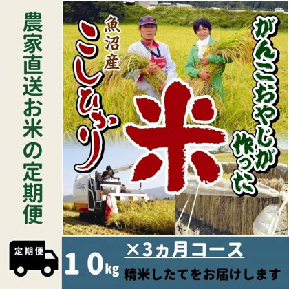 令和5年産【3か月定期便】がんこおやじが作った南魚沼産コシヒカリ白米10kg（5kg×2袋） | お米 こめ 白米 コシヒカリ 食品 人気 おすすめ 送料無料 魚沼 南魚沼 南魚沼市 新潟県産 新潟県 精米 産直 産地直送 お取り寄せ お楽しみ