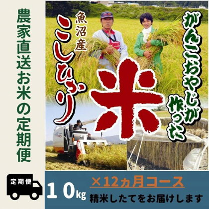 令和5年産【12か月定期便】がんこおやじが作った南魚沼産コシヒカリ白米10kg（5kg×2袋） | お米 こめ 白米 コシヒカリ 食品 人気 おすすめ 送料無料 魚沼 南魚沼 南魚沼市 新潟県産 新潟県 精米 産直 産地直送 お取り寄せ お楽しみ