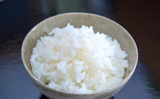 【ふるさと納税】【定期便 20Kg×全12回】雪室貯蔵・南魚沼産コシヒカリ生産者限定 │ 送料無料 魚沼産 コシヒカリ 魚沼 新潟 こしひかり 新潟県産 白米 精米 米 お米 産直 産地直送 お取り寄せ お楽しみ