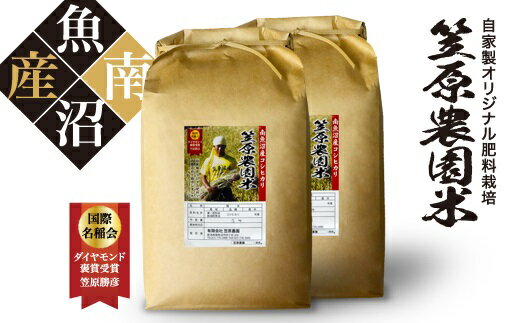 【ふるさと納税】南魚沼産笠原農園米 コシヒカリ 10kg | 送料無料 魚沼産 コシヒカリ 魚沼 新潟 こしひかり 新潟県産 白米 精米 米 お米 産直 産地直送 お取り寄せ