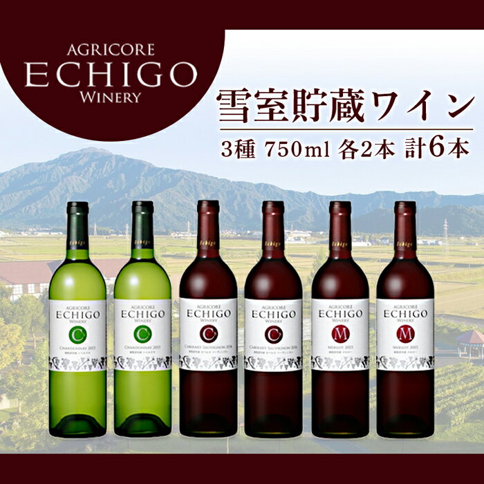 雪室貯蔵ワイン6本セット[カーボン・オフセット対象] | お酒 さけ 人気 おすすめ 送料無料 ギフト