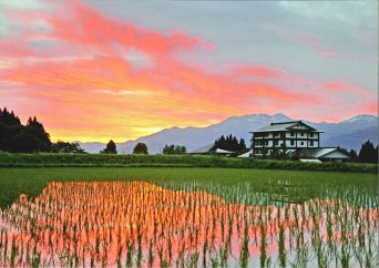 新潟の旅行券（宿泊券） 【ふるさと納税】心と体の保養の宿　龍氣　～りゅうき～　1泊2食付宿泊券　（一名様）