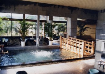 【ふるさと納税】心と体の保養の宿 龍氣 日帰り入浴券×薬石風呂利用券 5セット