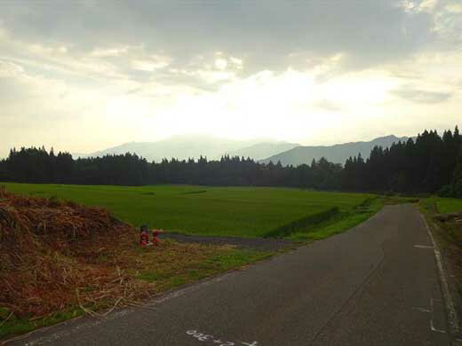 【ふるさと納税】【龍気養命堂】体内酵素補助食品『元氣の素フコイダン』(1カ月分) 4箱 3