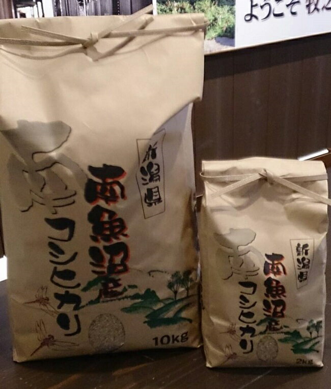 【ふるさと納税】米 玄米 コシヒカリ 南魚沼 塩沢産 10kg 高級 | お米 こめ 食品 人気 おすすめ 送料無料 魚沼 南魚沼 南魚沼市 新潟県 精米 産直 産地直送 お取り寄せ