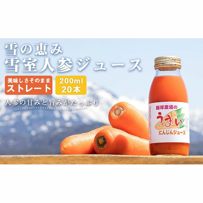 にんじんジュース 雪室 ストレート 4L ( 20本 × 200ml ) | 飲料 ジュース 果実飲料 ドリンク 食品 人気 おすすめ 送料無料