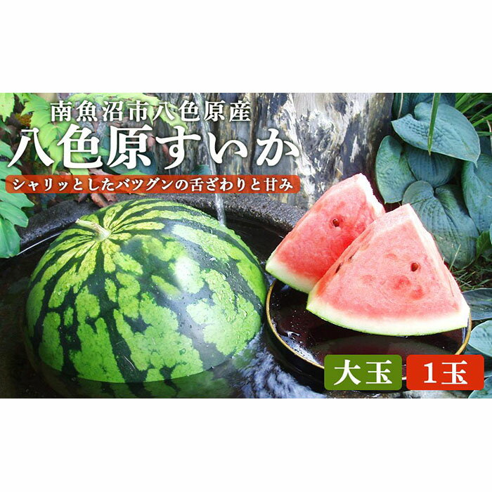 3位! 口コミ数「3件」評価「3.33」【高級】八色原すいか大玉1玉 | 新潟県 おすすめ