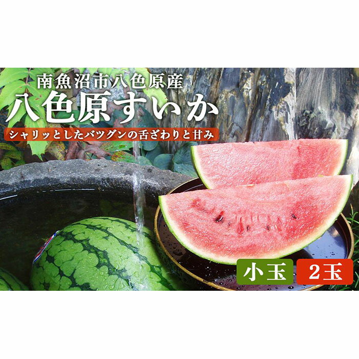 ・ふるさと納税よくある質問はこちら ・寄付申込みのキャンセル、返礼品の変更・返品はできません。あらかじめご了承ください。 ・ご要望を備考に記載頂いてもこちらでは対応いたしかねますので、何卒ご了承くださいませ。 ・寄付回数の制限は設けておりません。寄付をいただく度にお届けいたします。 商品概要 シャリっとした食感と抜群の甘さを誇る八色原（やいろはら）すいか。その栽培地である八海山の裾野に広がる盆地は、水はけの良い火山灰土に、ミネラル成分たっぷりの雪解け水が流れる恵まれた土壌です。さらに昼夜の寒暖差が、糖度を高めて味わいをぎゅっと凝縮してくれます。薄皮で端まで甘味たっぷり、みずみずしくジューシーな味わいにリピーターが多い逸品です。ひんやりと冷やした極上すいかで夏のひとときを満喫してください。 ※当店は飯塚農場・小澤農場・JAみなみと小玉スイカ扱って、農家直送でお届けします。 ※発送農家を選ぶことはできません。 ※飯塚農場の「竜神のしずく」は八色原すいかになります。 ※写真はイメージになります。 ※8月出荷分より「ひとりじめbonbon」「なつここあ」と言った皮が黒い品種の小玉スイカも出荷されます。 ※受付順に順次発送するため、お届けまでお時間を頂いております。 ※天候等により農産物の育成に影響が出た場合、ご希望の時期に配送できないことがあります。 ※着日指定配送は出来かねます。ご了承ください。 ◎株式会社中島利七（なかじまりしち） 新潟県南魚沼市・塩沢地区に土産物店「利七屋」を構え、新潟の特産品を販売。地元産コシヒカリや蔵元自慢の日本酒、柿の種などの銘菓、日本海の新鮮な海の幸で作る干物・漬け魚といった、こだわりの商品をセレクト。新潟名物の定番から隠れた逸品まで、幅広く魅力を発信しています。 【お問合せ】発送事業者（利七屋　TEL：025-788-1011） 関連キーワード：フルーツ 果物 くだもの 食品 人気 おすすめ 送料無料 内容量・サイズ等 2玉 （1玉：約1.2～2.5kg） ※1玉は重さの選定しております。 賞味期限・消費期限 5日～7日　※お早めにお召し上がりください。 配送方法 常温 発送期日 2024年7月16日～2024年8月20日の期間に受付順に順次発送予定。※発送時期は予定になります。収穫の状況により、前後する場合がありますのでご了承ください。※青果物の為、天候等の影響で発送時期が前後する場合がありますのでご了承ください。※着日指定配送は出来かねます。ご了承ください。 アレルギー 特定原材料等28品目は使用していません ※ 表示内容に関しては各事業者の指定に基づき掲載しており、一切の内容を保証するものではございません。 ※ ご不明の点がございましたら事業者まで直接お問い合わせ下さい。 名称 スイカ 産地名 新潟県産 保存方法 常温保存 事業者情報 事業者名 利七屋 連絡先 025-788-1011 営業時間 10：00～16：00 定休日 年末年始「ふるさと納税」寄付金は、下記の事業を推進する資金として活用してまいります。 （1）南魚沼市の応援 （2）保健・医療・福祉 （3）教育・スポーツ・文化の振興 （4）産業振興・環境共生 （5）都市基盤・行財政改革 （6）国際大学の応援と交流の推進 （7）北里大学の応援と交流の推進